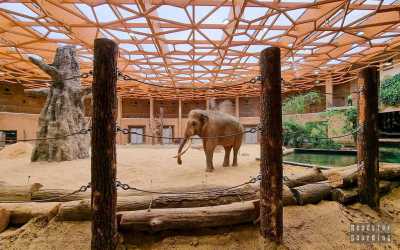 wycieczka jednodniowa